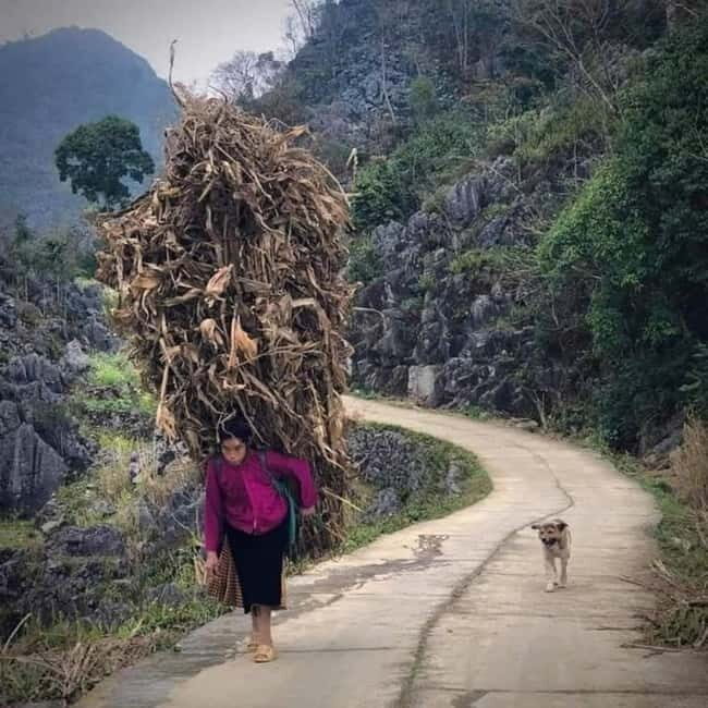 From Hanoi: 5-Day Ha Giang, Cao Bang, Ban Gioc Waterfall - Discovering the Northern Vietnam Landscape