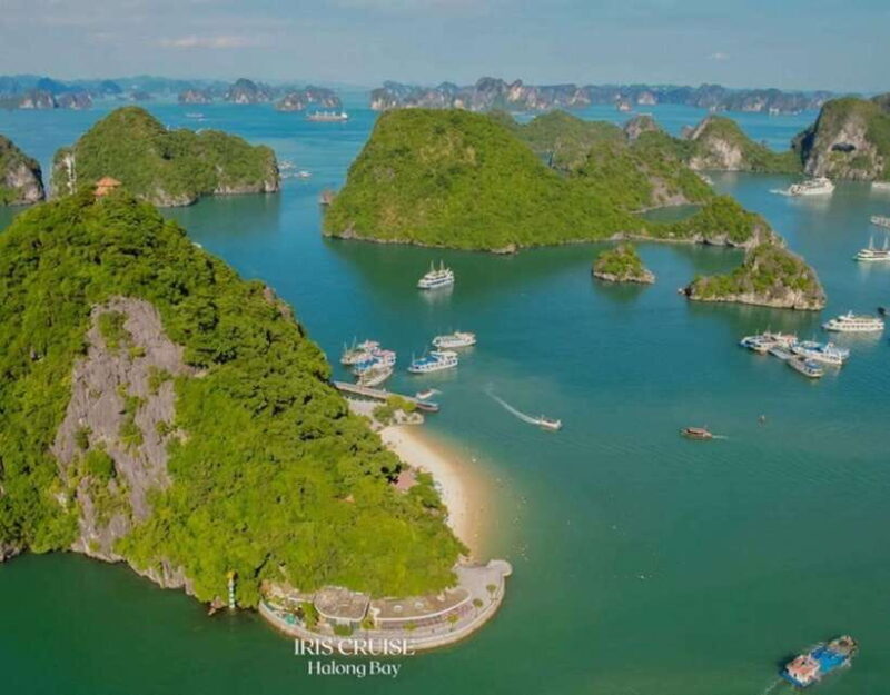 From Hanoi: BEST Ha Long Bay Tour on 5-Star Pamela Cruise - Final Thoughts: Is This Tour Right for You?