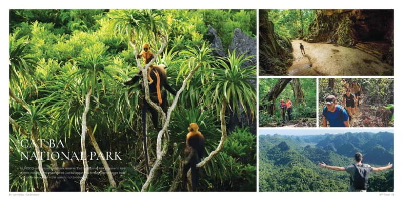 From Hanoi: Cat Ba Island 2-Day Tour with Trekking - Introduction