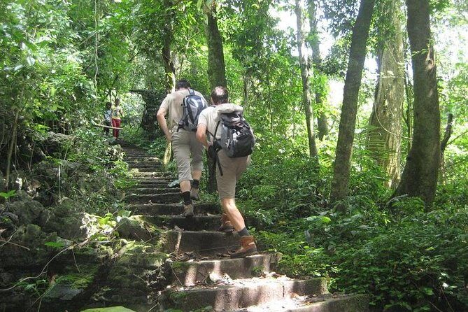 From Hanoi: Cuc Phuong National Park Day Trip by Private Car - A Closer Look at the Cuc Phuong National Park Day Trip