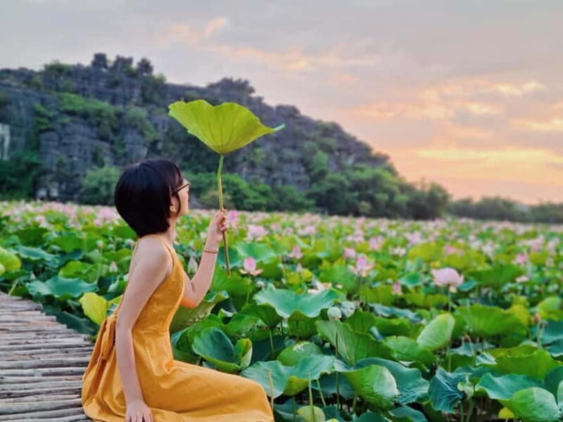 From Hanoi: Day Trip to Ninh Bình The Colors of Nature - The Itinerary Breakdown: What You Can Expect