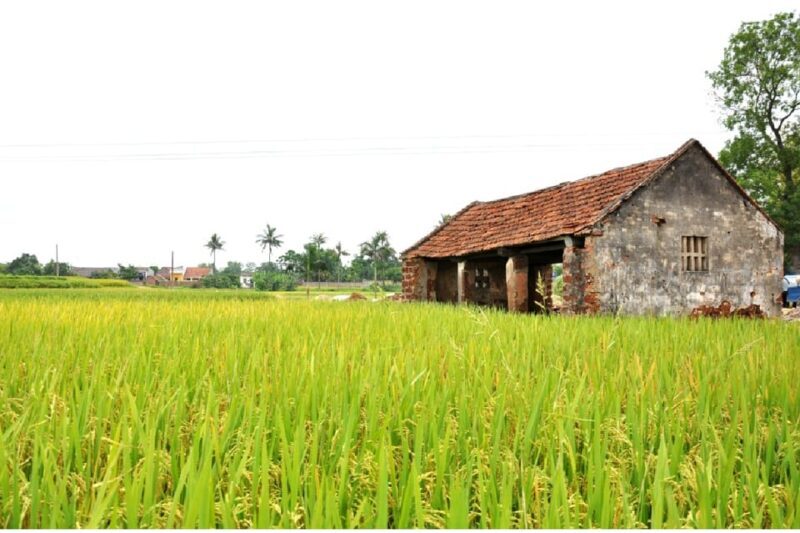 From Hanoi: Duong Lam Ancient Village Day Tour with Lunch - Is This Tour Worth It?