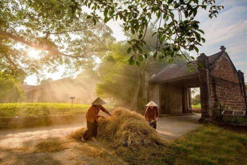 From Hanoi: Duong Lam Ancient Village Private Full-Day Trip - Authentic, Well-Rounded Experience for Curious Travelers