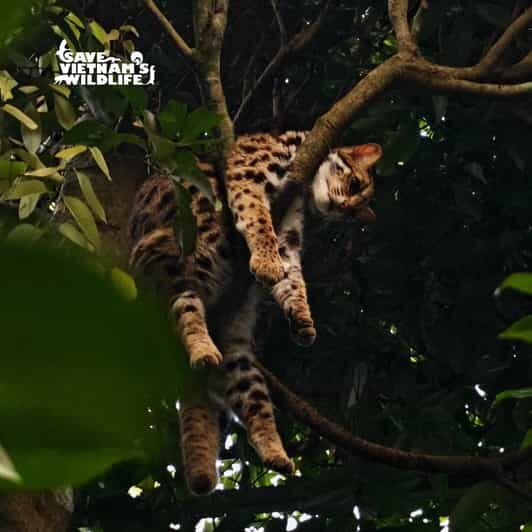 From Hanoi Explore Fresh Nature, See Wild Animal & Fireflies - Key Points