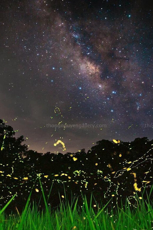 From Hanoi Explore Fresh Nature, See Wild Animal & Fireflies - Frequently Asked Questions