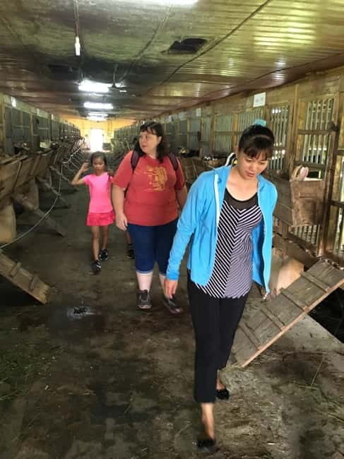 From Hanoi: Full-Day Authentic Vietnam Farming Tour - What the Tour Means for You as a Traveller
