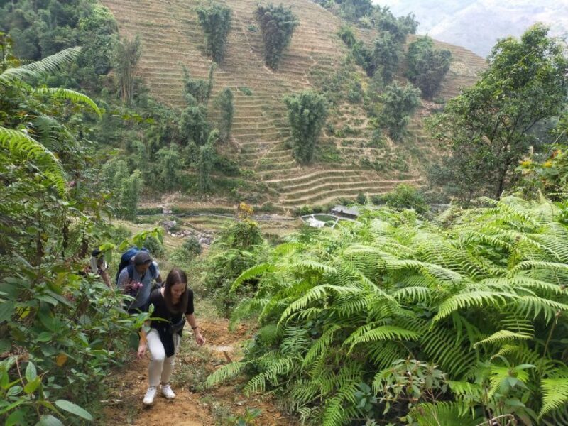 From Hanoi: Guided 2-Day Tour of Sa Pa with Lunch & Dinner - Authenticity and Value