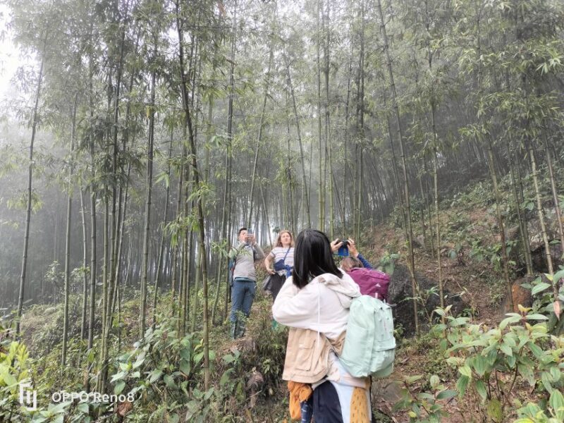 From Hanoi: Guided 2-Day Tour of Sa Pa with Lunch & Dinner - Who Would Enjoy This Tour?