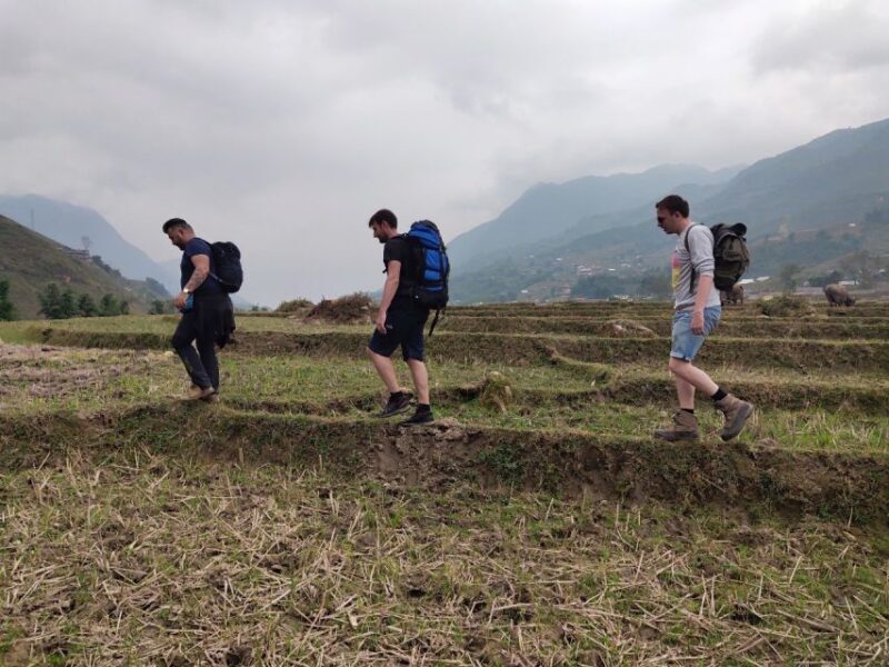 From Hanoi: Guided 2-Day Tour of Sa Pa with Lunch & Dinner - Final Thoughts