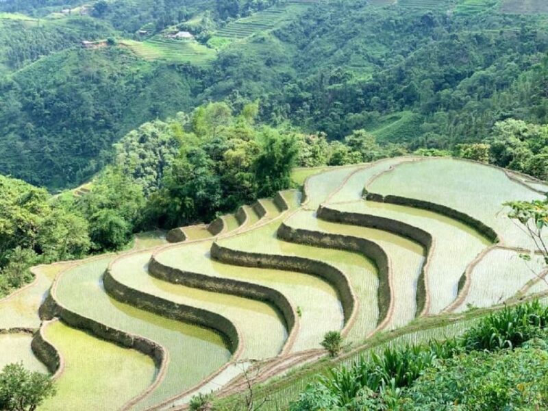 From Hanoi: Ha Giang Guided 3-Day Trip - FAQ