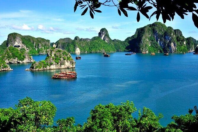 From Hanoi: Ha Long Bay Day tour 4-Star with Kayaking - The Value and Experience