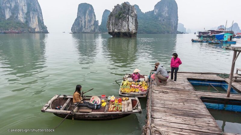 From Hanoi: Halong Bay Day Trip with Lunch and Transfers - The Sum Up