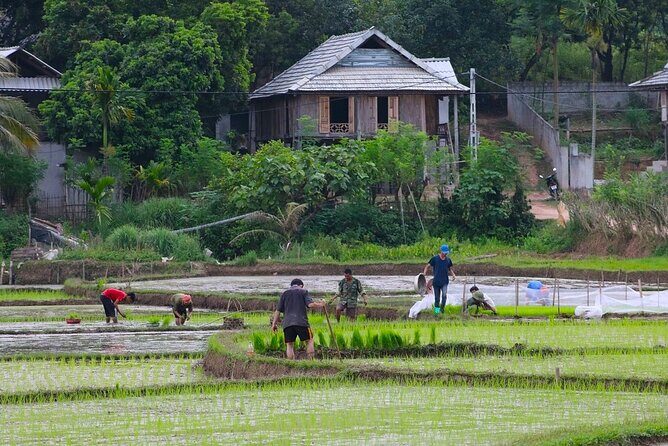 From Hanoi Hidden Gems of Mai Chau Explore Rural Villages by Bike - Returning to Hanoi