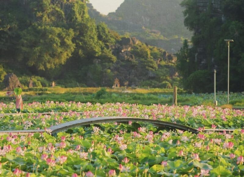 From Hanoi: Hoa Lu / Bai Dinh & Bich Dong & Thung Nham - FAQ