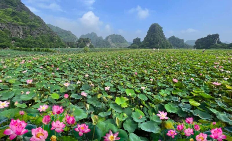 From Hanoi: Hoa Lu or Bai Dinh And Bich Dong And Thung Nham - Final Thoughts