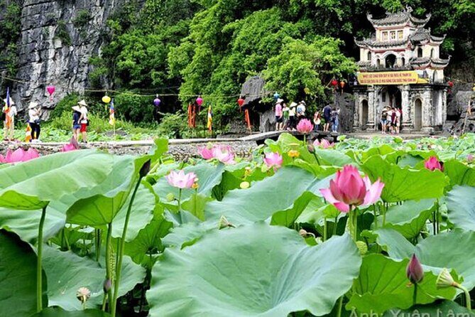 From Hanoi: Hoa Lu, Tam Coc, and Mua Cave Scenic Day Trip - A Closer Look at the Itinerary