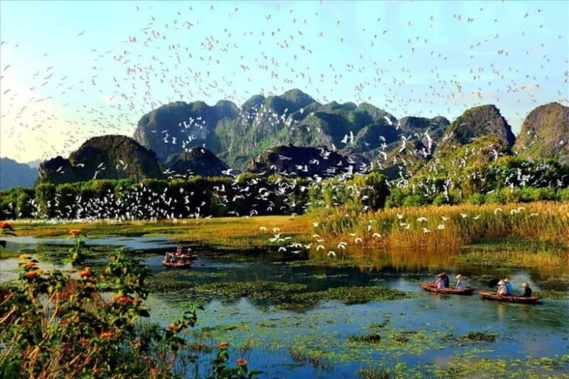 From Hanoi: Hoa Lu & Van Long Nature Reserve Day Tour - An In-Depth Look at the Experience