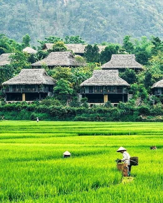 From Hanoi: Mai Chau Excursion 1 Day with Cycling and Lunch - Practical Details and Logistics