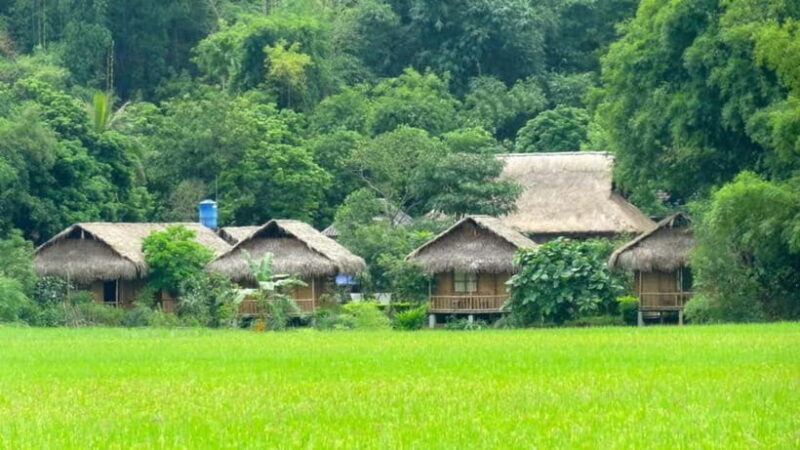 From Hanoi: Mai Chau, Pu Luong, Ninh Binh 4-Day Tour - Exploring the Itinerary in Detail