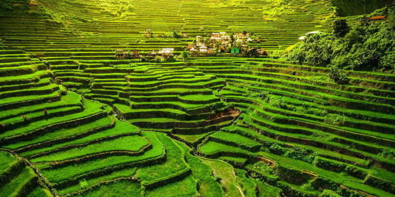 From Hanoi: Mai Chau Valley 2-Day Tour with Homestay - Traveler Feedback and Authentic Insights