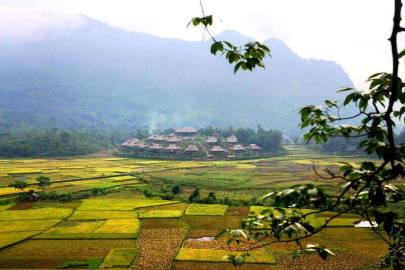 From Hanoi: Mai Chau Valley Day Trip with Cycling - Authentic Experiences and Visitor Feedback