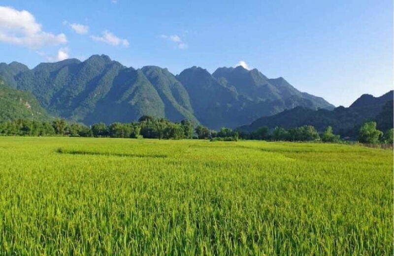 From Hanoi: Mai Chau Valley Day Trip with Lunch and Bike - Additional Resources