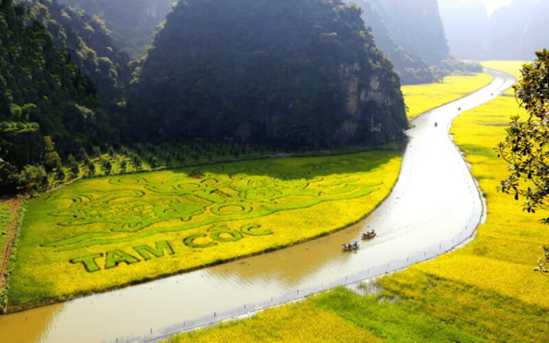 From Hanoi: Ninh Binh 2-Day Tour with Homestay - Analyzing the Tour’s Value