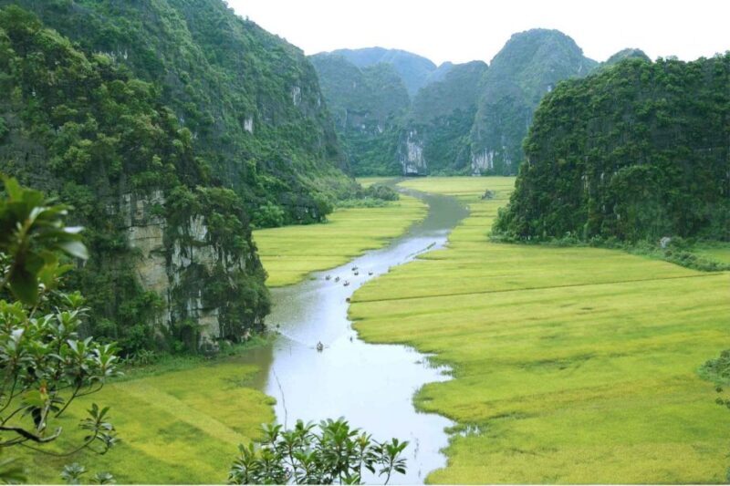 From Hanoi: Ninh Binh & Cuc Phuong National Park 2-Day Tour - Who This Tour Is Best For