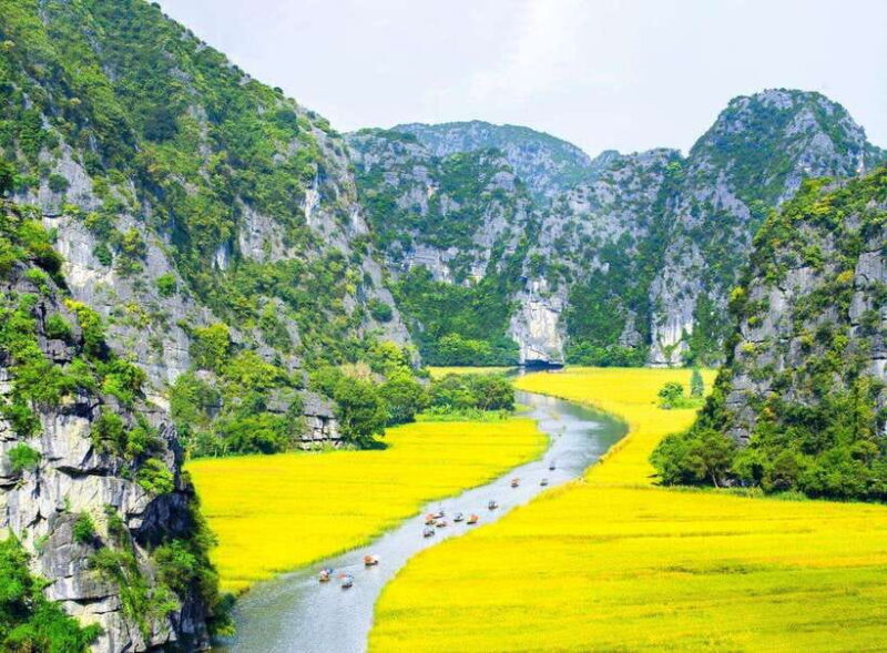 From Hanoi: Ninh Binh- Hoa Lu-Tam Coc- Mua Cave- Highlight - An Introduction to This Ninh Binh Day Trip