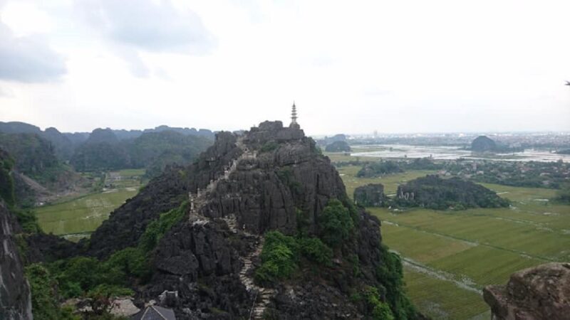 From Hanoi: Ninh Binh-Hoa Lu-Trang An-Mua-Cave-Buffet Lunch - What the Reviews Tell Us