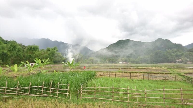From Hanoi: Ninh Binh-Hoa Lu-Trang An-Mua-Cave-Buffet Lunch - FAQ