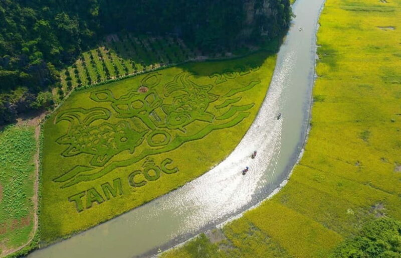 From Hanoi: Ninh Binh Tour 1 day- Hoa Lu, Tam Coc/Trang An - Who This Tour Is Best For