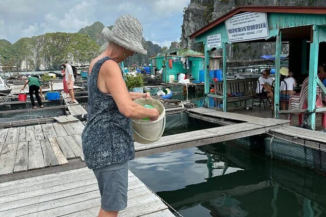 From Hanoi-Ninhbinh-Halong: Lan Ha Bay 2 Days 1 Night Adventure - Who Should Consider This Tour?