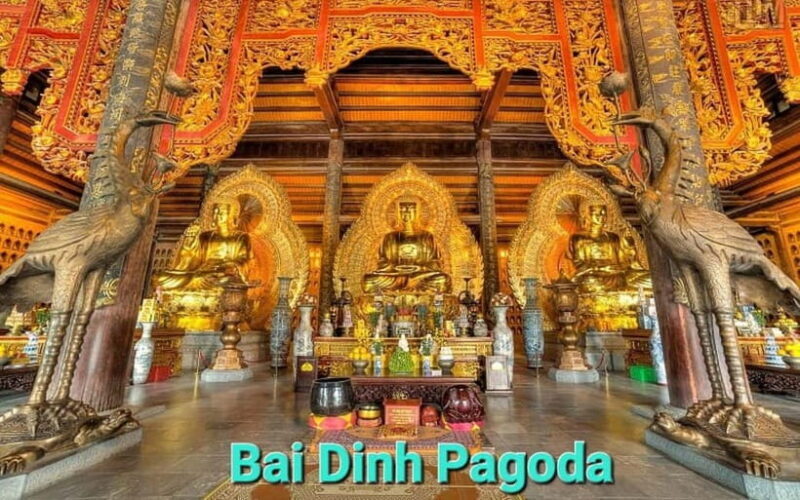 From Hanoi/NinhBinh: HoaLu-Bai Din- TrangAn- MuaCave-BichDon - Why This Tour Is a Good Deal