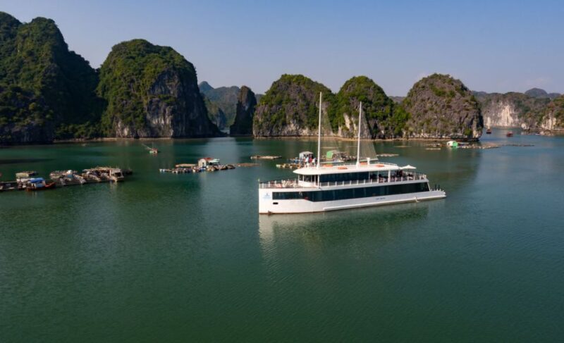 From Hanoi or Halong: Halong Bay Day Cruise - Who Will Love This Tour?