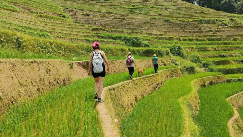From Hanoi: Private 2-Day Mu Cang Chai Homestay & Trekking - From Hanoi: Private 2-Day Mu Cang Chai Homestay & Trekking – A Genuine Highland Adventure