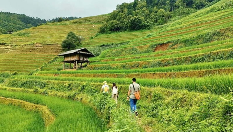 From Hanoi: Private 2-Day Mu Cang Chai Homestay & Trekking - What’s Included and What to Keep in Mind