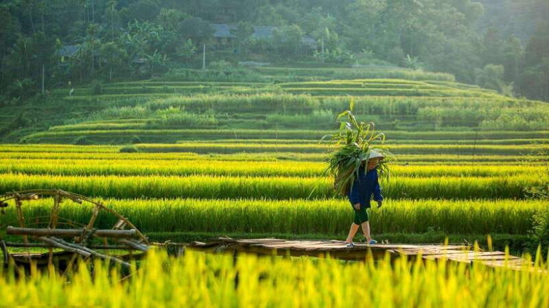 From Hanoi: Pu Luong Nature Reserve 2-Day Trek - Key Points