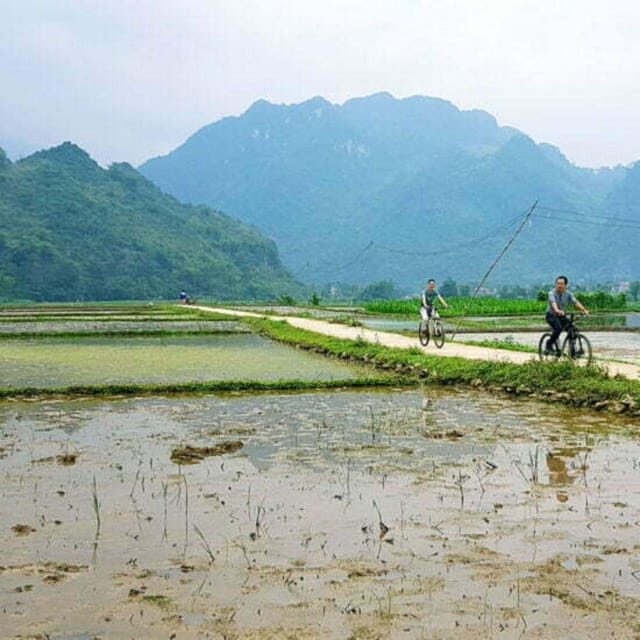 From Hanoi: Pu Luong Nature Reserve Vacation 2D1N - Who Would Love This Tour?
