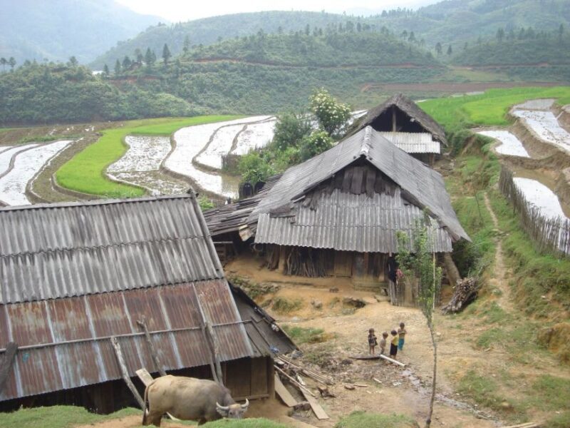 From Hanoi: Sapa 3-Day Medium Trek and Limousine Trip - Practical Tips for Travelers