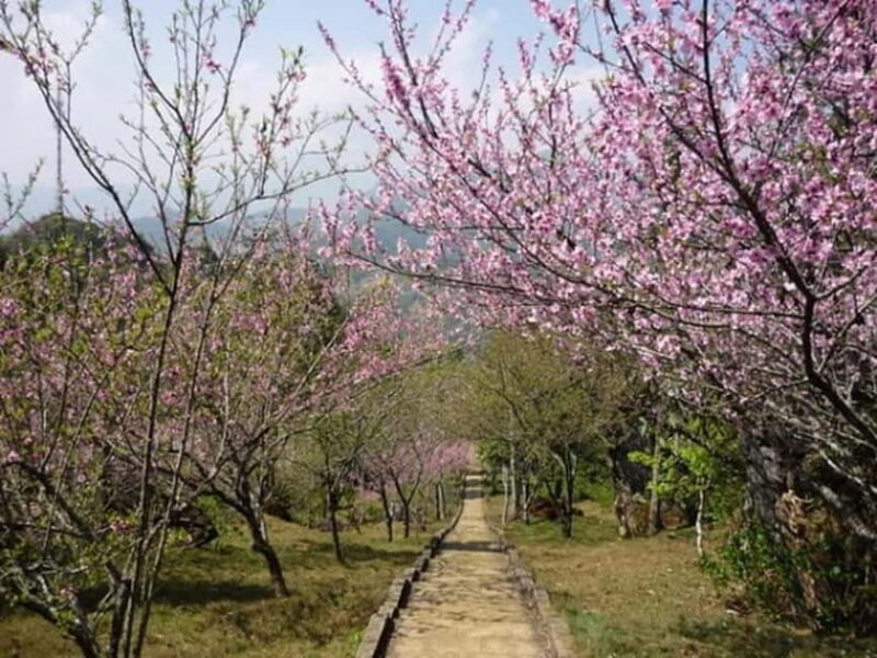 From Hanoi: Sapa 3 Days Trek, Phansipan Peak| 5-Stars Hotel - Introduction: A Scenic and Cultural Escapade in Northern Vietnam