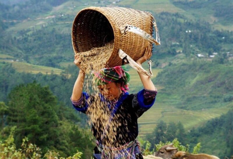 From Hanoi: Sapa 3 Days Trek, Phansipan Peak| 5-Stars Hotel - Practical Tips for Travelers