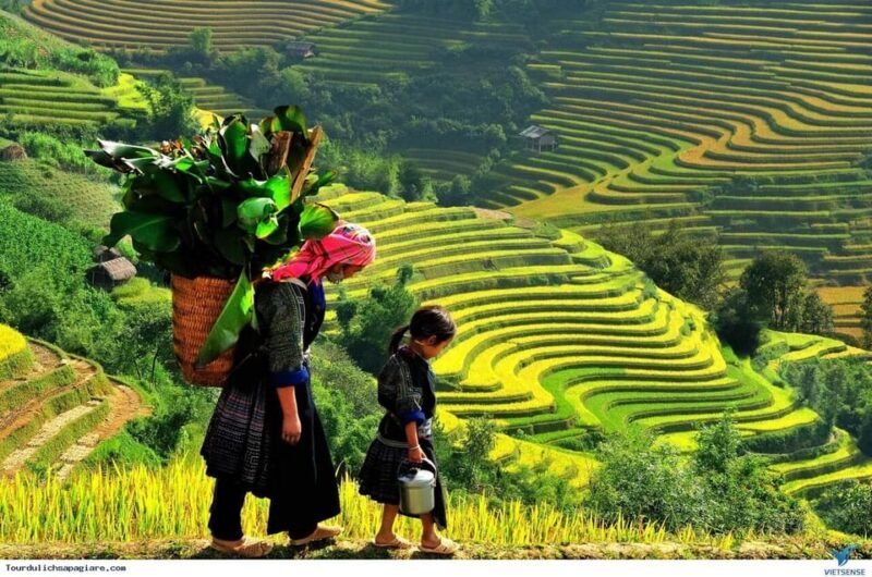 From Hanoi: Sapa 3D2N Cat Cat Village, Fansipan Peak,Moana - Authenticity and Highlights