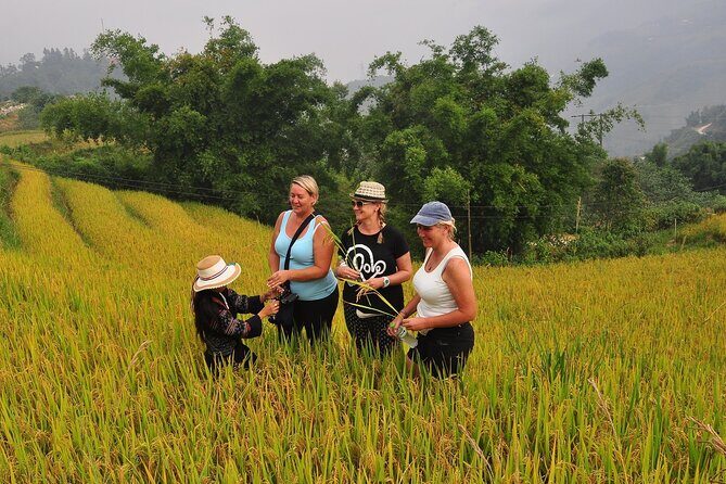 From Hanoi : Sapa Moutain Trek - Halong bay Heritage - Considerations and Practicalities
