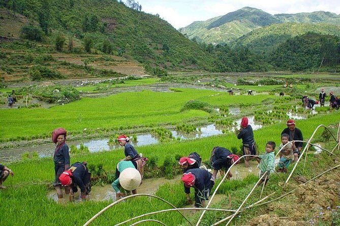 From Hanoi: Sapa Real Experience 2-Day 1 Night at Ethnic Homestay - The Overall Experience: Who It’s Best For