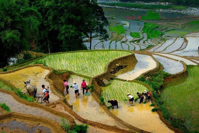 From Hanoi: Sapa Real Experience 2-Day 1 Night at Ethnic Homestay - Final Thoughts and Why You Should Consider It