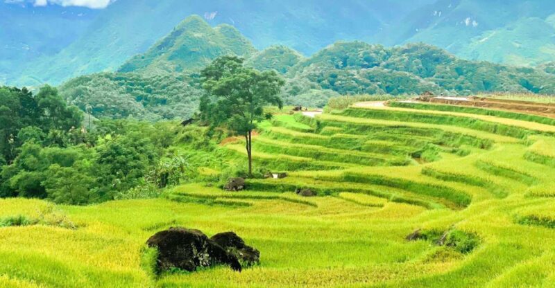 From Hanoi to Pu Luong: 2-Day Trip in Ethnic Villages - Key Points
