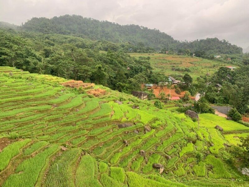 From Hanoi to Pu Luong: 2-Day Trip in Ethnic Villages - An In-Depth Look at the Pu Luong Experience