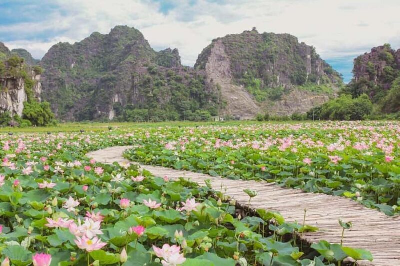 From Hanoi: Trang An eco-tourism - Hoa Lu ancient & Mua Cave - Who Is This Tour Best For?