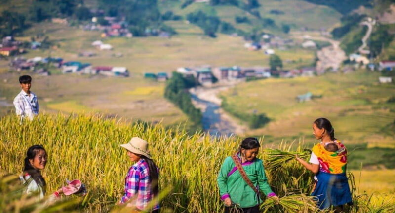 From Hanoi: Trek and Stay: 3-Day Sapa Highlands Adventure - The Sum Up